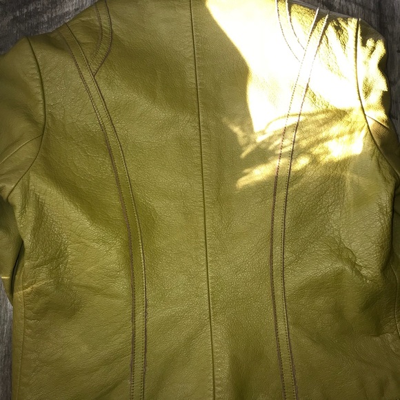 PelleStudio - Picture 6 of 7